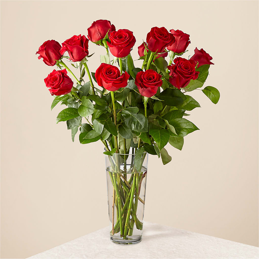 Long Stem Red Rose Bouquet – Village Florist, Richmond KY