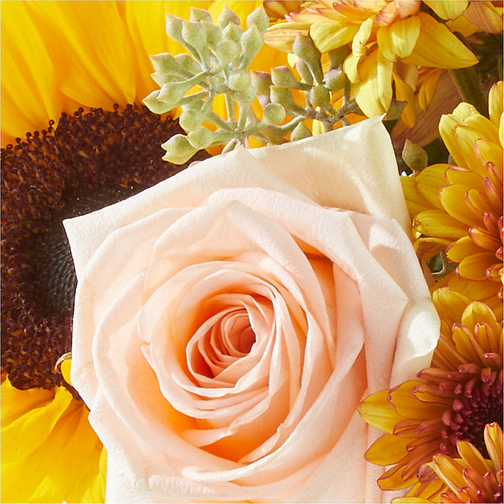 Pumpkin to Talk About Bouquet – Village Florist, Richmond KY