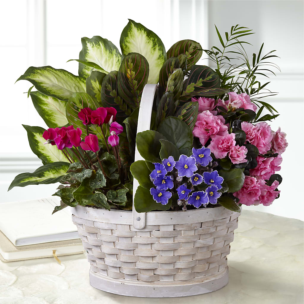 Peaceful Garden Planter – Village Florist, Richmond KY