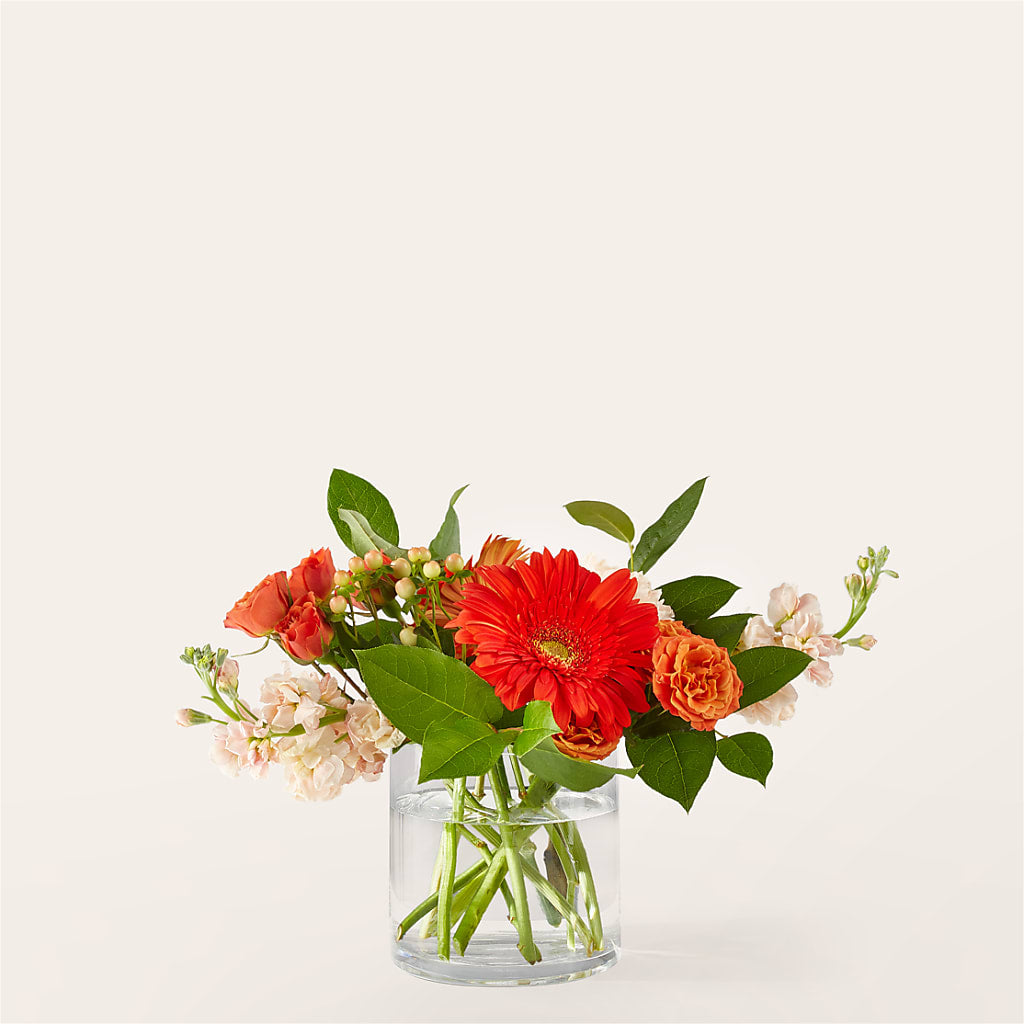 Paloma Please Bouquet – Village Florist, Richmond KY
