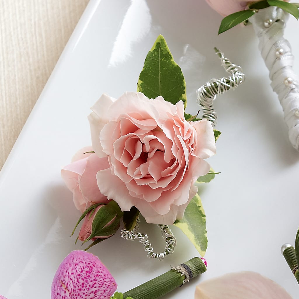 Pink Spray Rose Boutonniere – Village Florist, Richmond KY