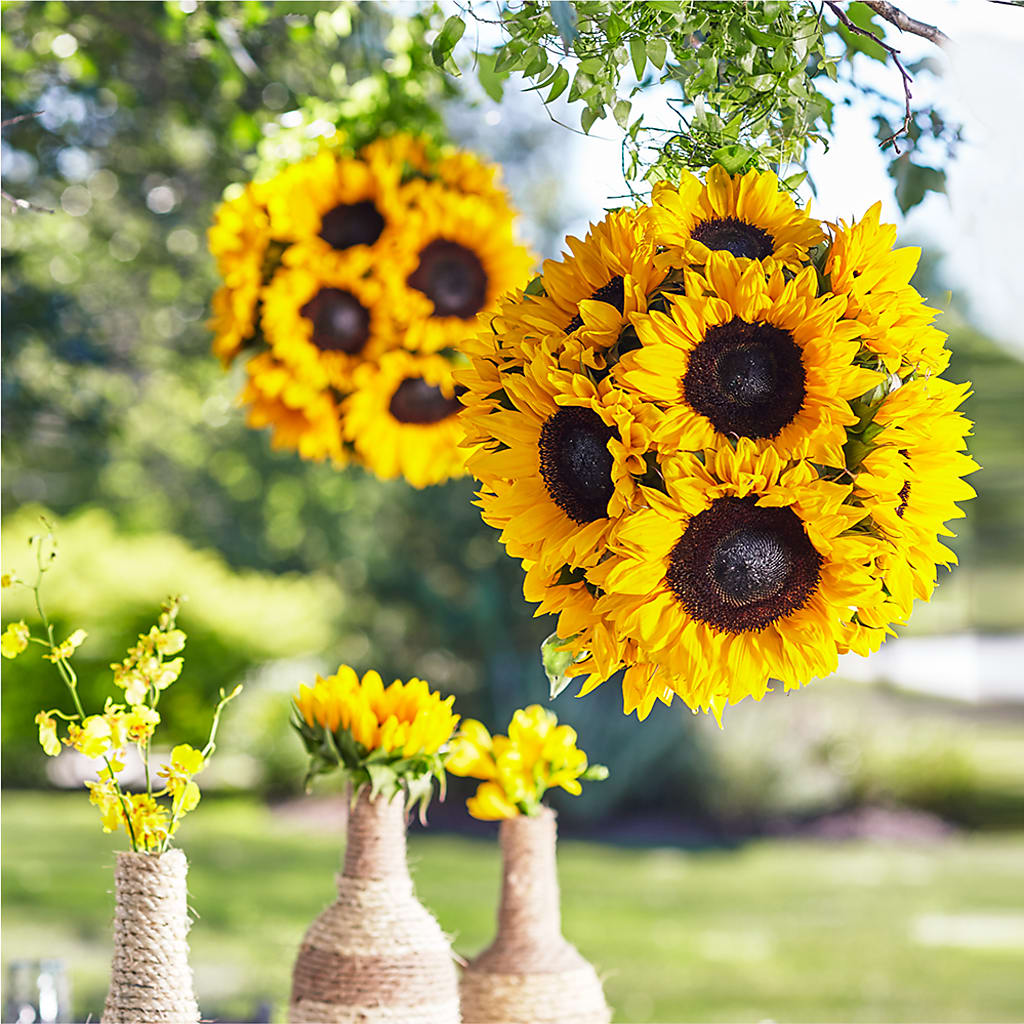 Sublime Garden Hanging Arrangement – Village Florist, Richmond KY