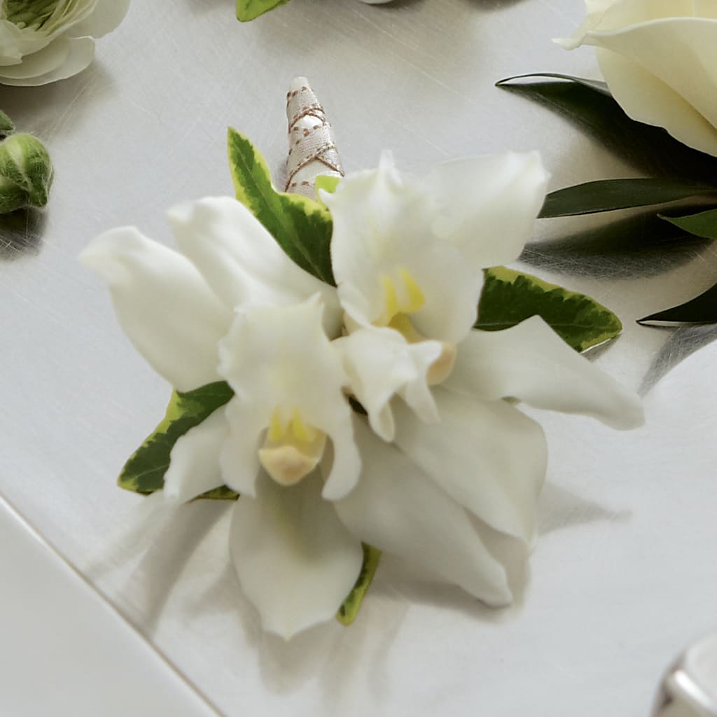 White Mini Cymbidium Boutonniere – Village Florist, Richmond KY