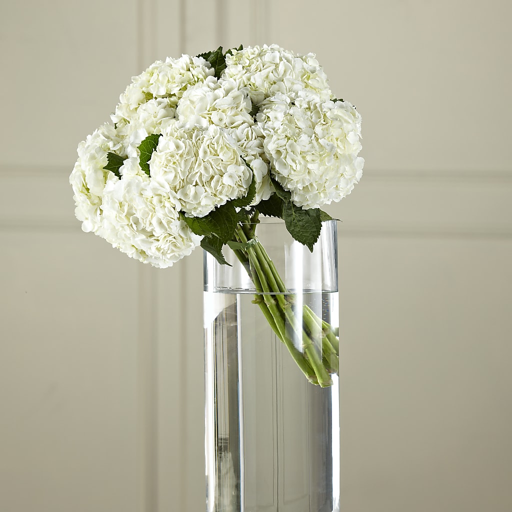 White Hydrangea Hand-Tied Bouquet – Village Florist, Richmond KY
