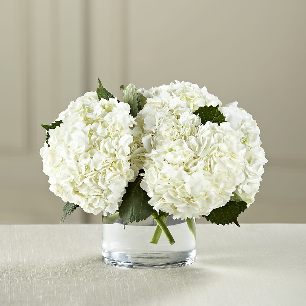 White Hydrangea Bouquet – Village Florist, Richmond KY