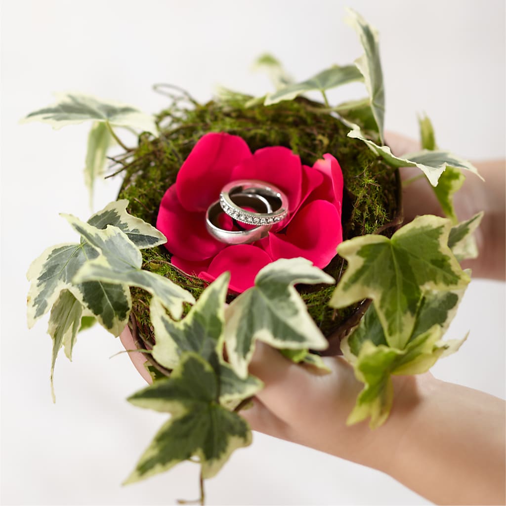 Lila Rose Ring Nest – Village Florist, Richmond KY