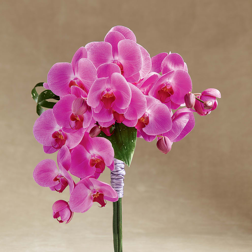 Glorious Bouquet – Village Florist, Richmond KY