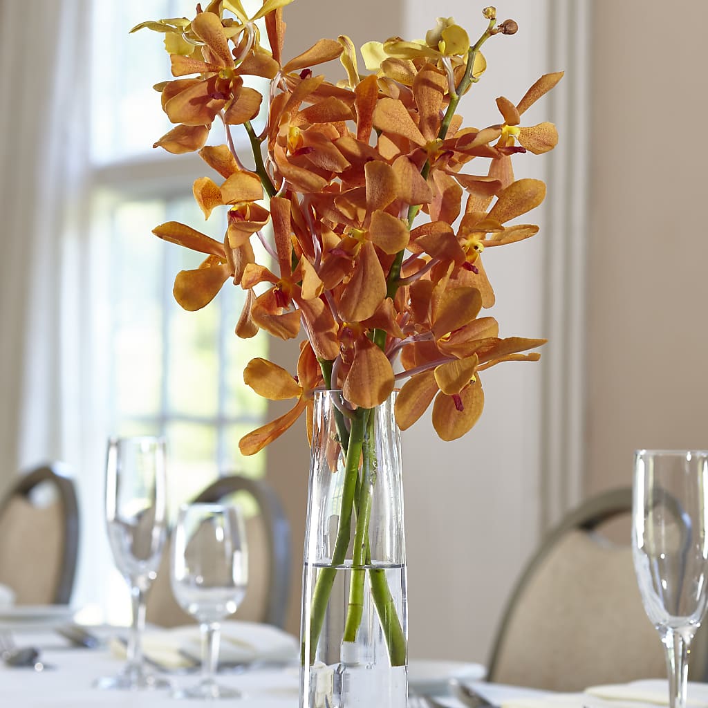 Orange Mokara Bud Vase – Village Florist, Richmond KY