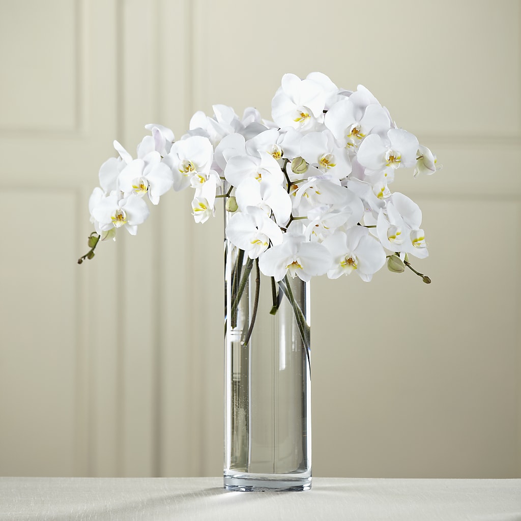 White Phalaenopsis Bouquet – Village Florist, Richmond KY