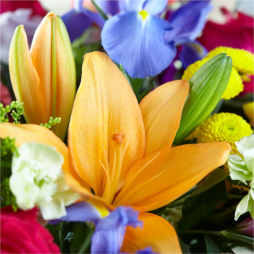 Bold & Bright – A Florist Original –  Village Florist, Richmond KY