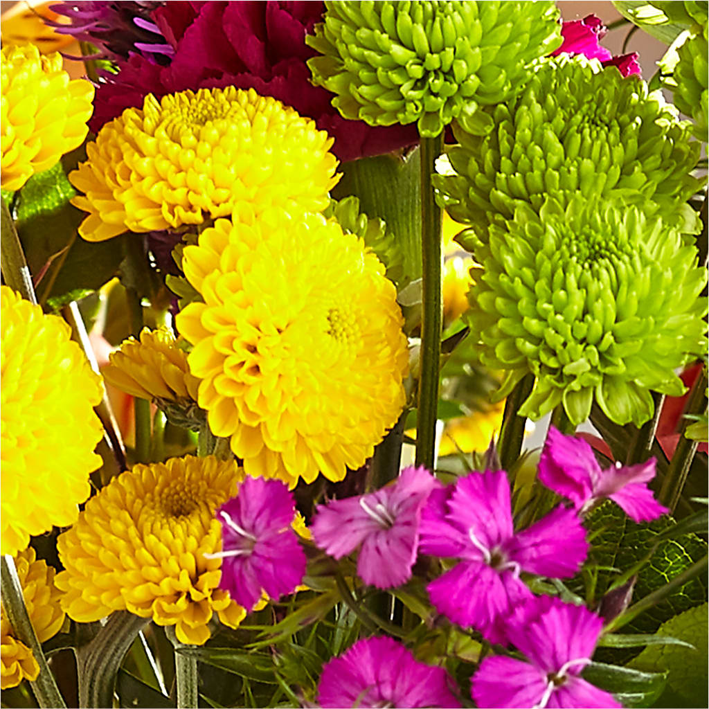 Bold & Bright – A Florist Original –  Village Florist, Richmond KY