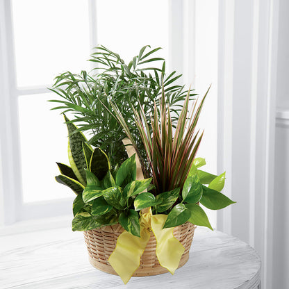 French Garden –  Village Florist, Richmond KY