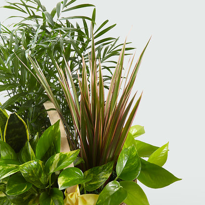 French Garden –  Village Florist, Richmond KY