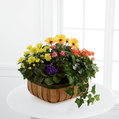 Gentle Blossoms Basket –  Village Florist, Richmond KY