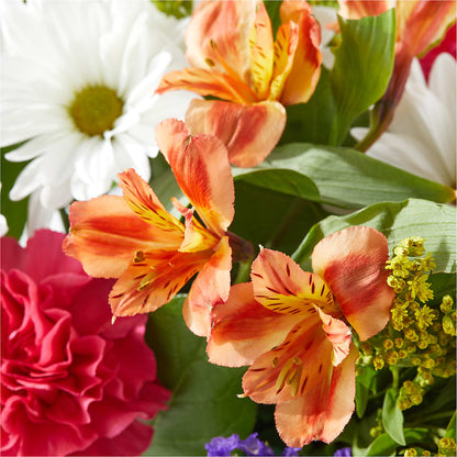 Oopsie Daisy Box Bouquet –  Village Florist, Richmond KY