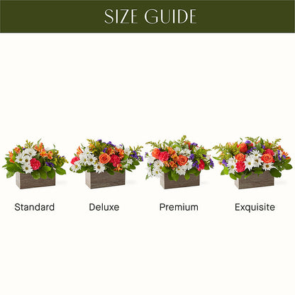 Oopsie Daisy Box Bouquet –  Village Florist, Richmond KY