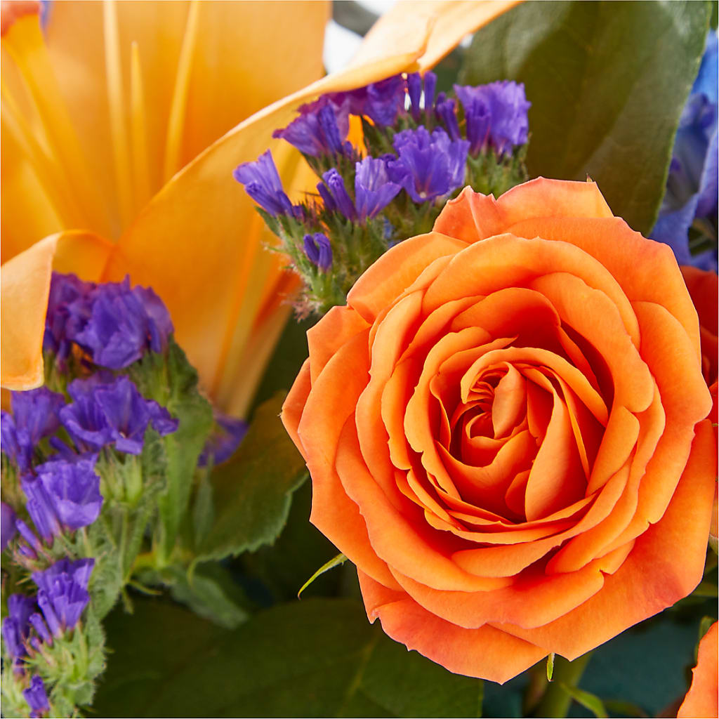 Radiant Citrus Box Bouquet –  Village Florist, Richmond KY