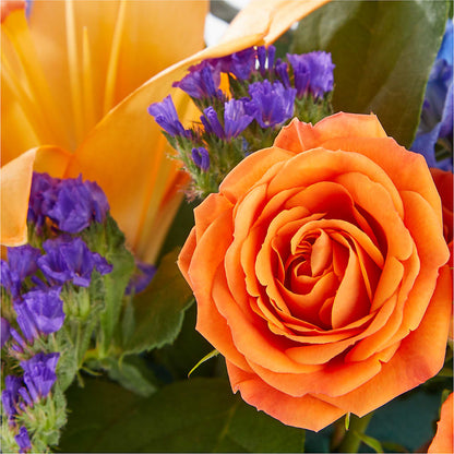 Radiant Citrus Box Bouquet –  Village Florist, Richmond KY