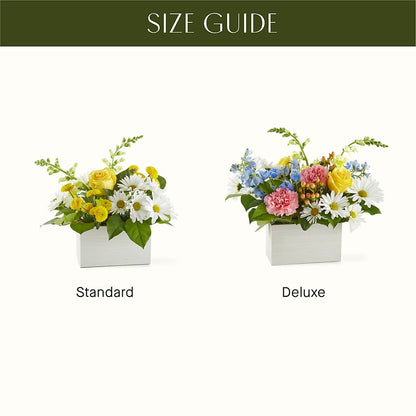 Sun Salutation Box Bouquet –  Village Florist, Richmond KY