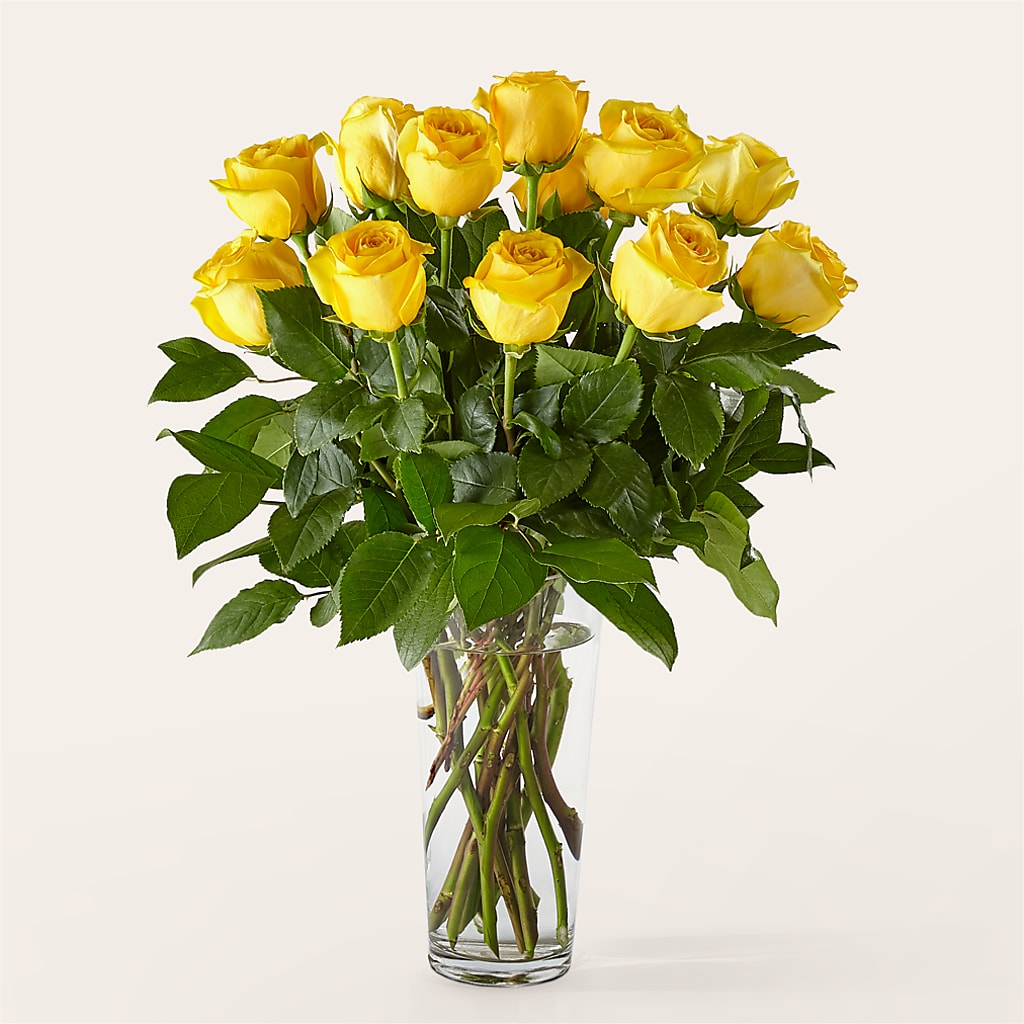 Long Stem Yellow Rose Bouquet –  Village Florist, Richmond KY