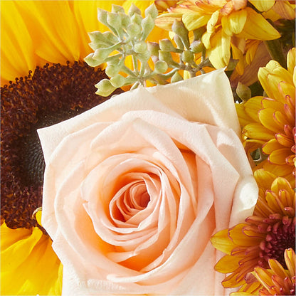 Pumpkin to Talk About Bouquet –  Village Florist, Richmond KY