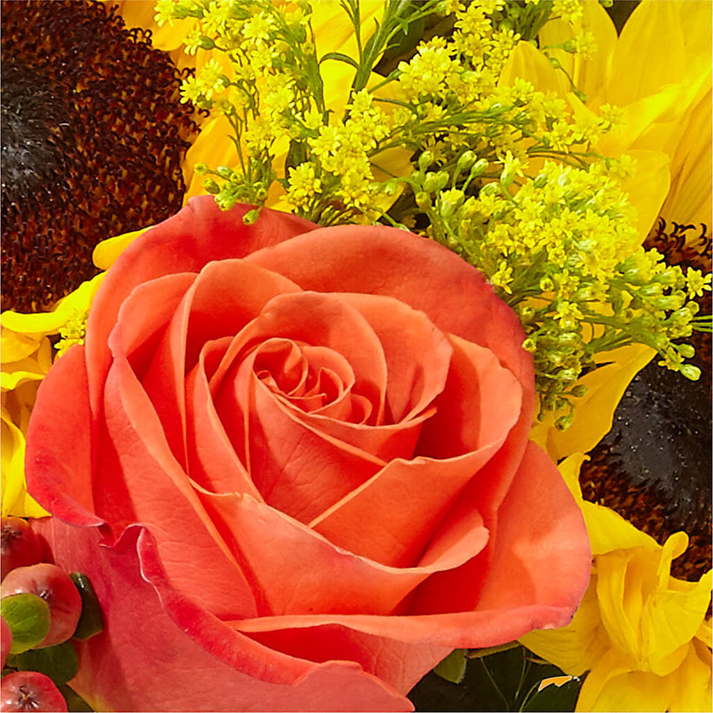 Pick of the Patch Pumpkin Bouquet –  Village Florist, Richmond KY