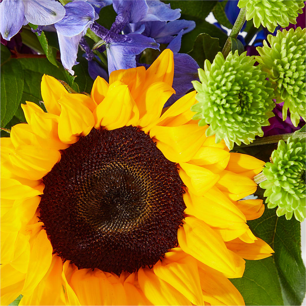Catching Rays Bouquet –  Village Florist, Richmond KY
