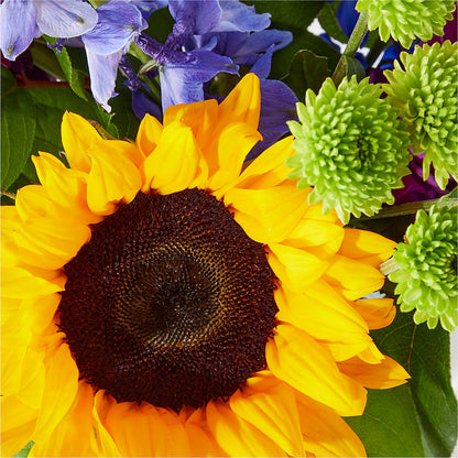 Catching Rays Bouquet –  Village Florist, Richmond KY