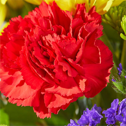 Brighter Days Bouquet –  Village Florist, Richmond KY