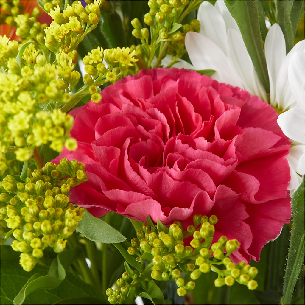 Oopsie Daisy Bouquet –  Village Florist, Richmond KY
