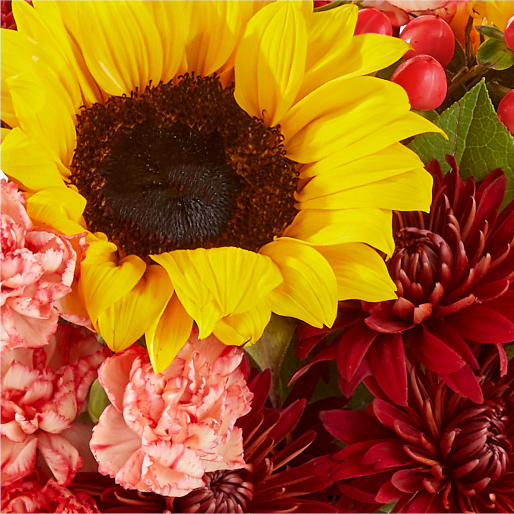 Fresh Cider Bouquet –  Village Florist, Richmond KY