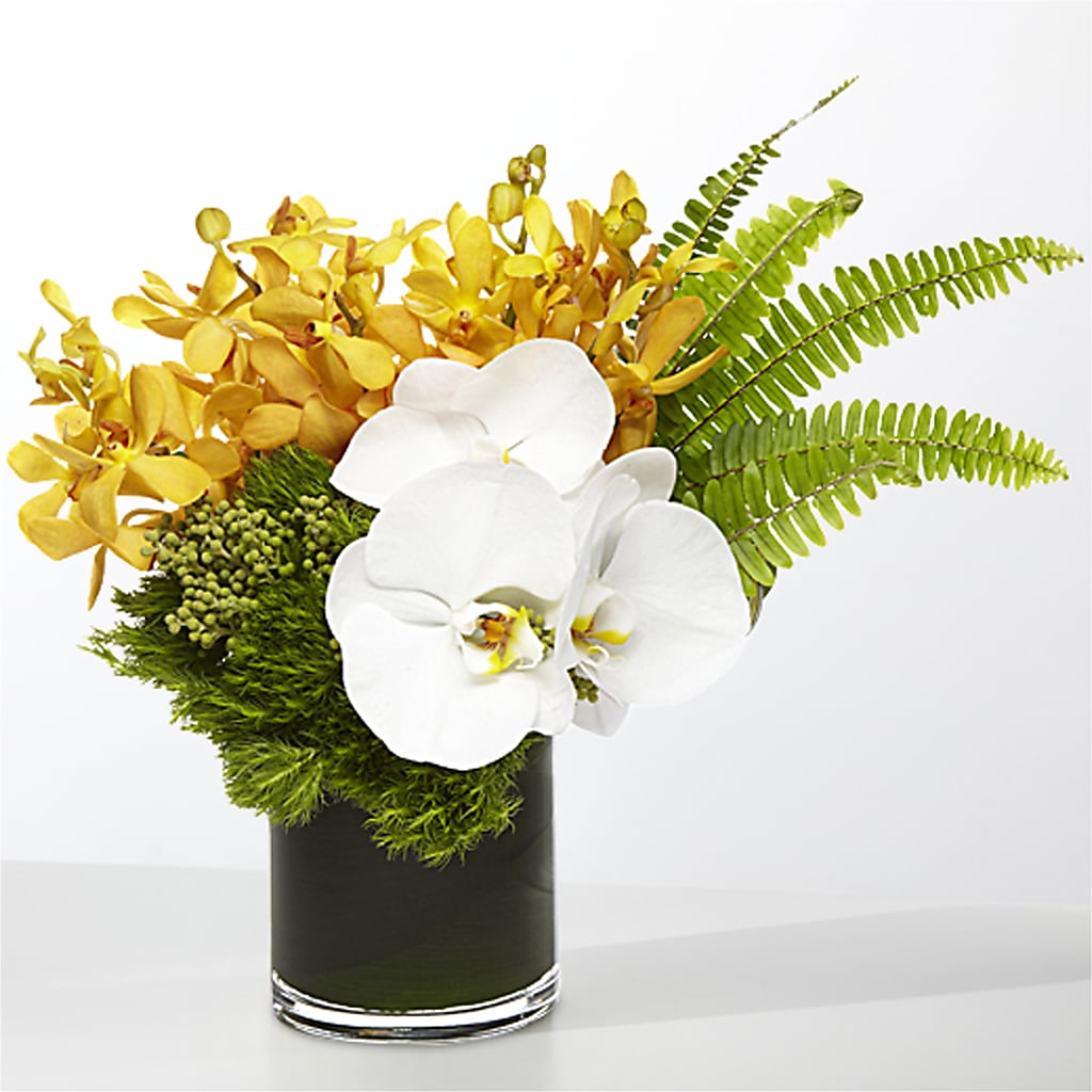 The Tropics –  Village Florist, Richmond KY