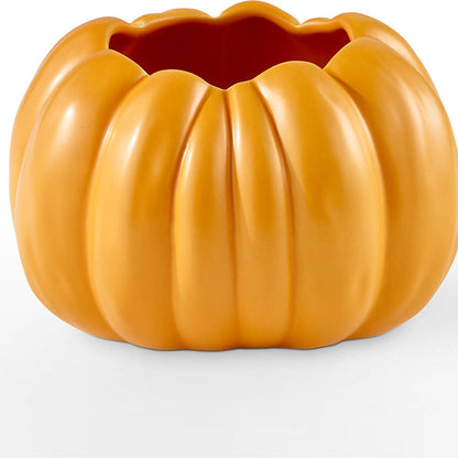Pick of the Patch Pumpkin Bouquet –  Village Florist, Richmond KY