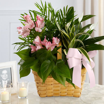 Living Spirit Dishgarden –  Village Florist, Richmond KY