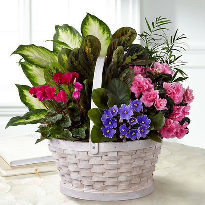 Peaceful Garden Planter –  Village Florist, Richmond KY