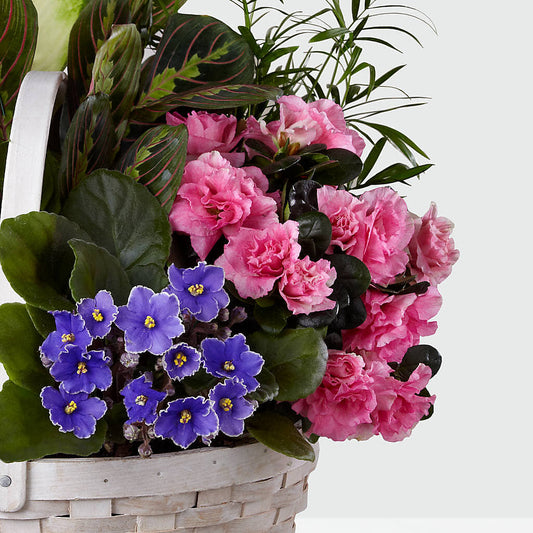 Peaceful Garden Planter –  Village Florist, Richmond KY