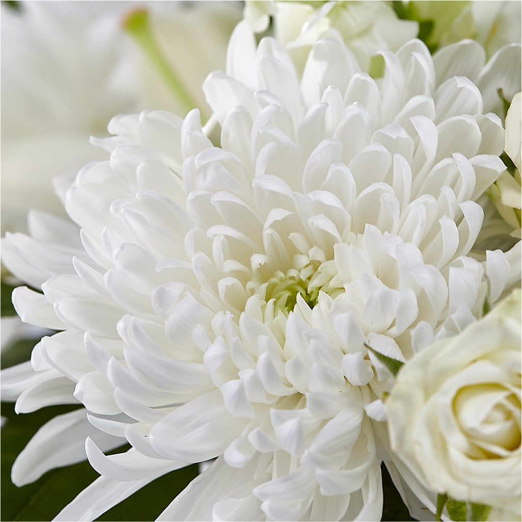 Classic Ivory – A Florist Original –  Village Florist, Richmond KY