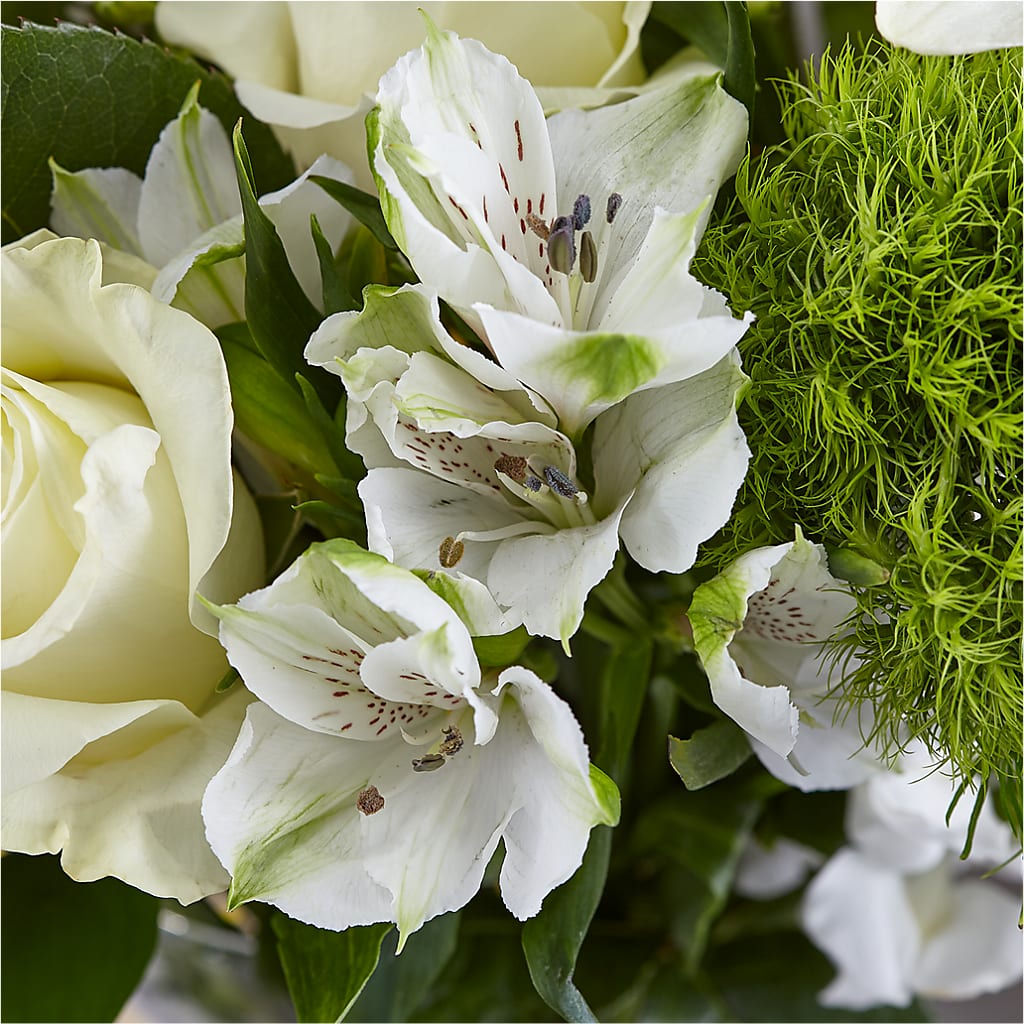 Classic Ivory – A Florist Original –  Village Florist, Richmond KY