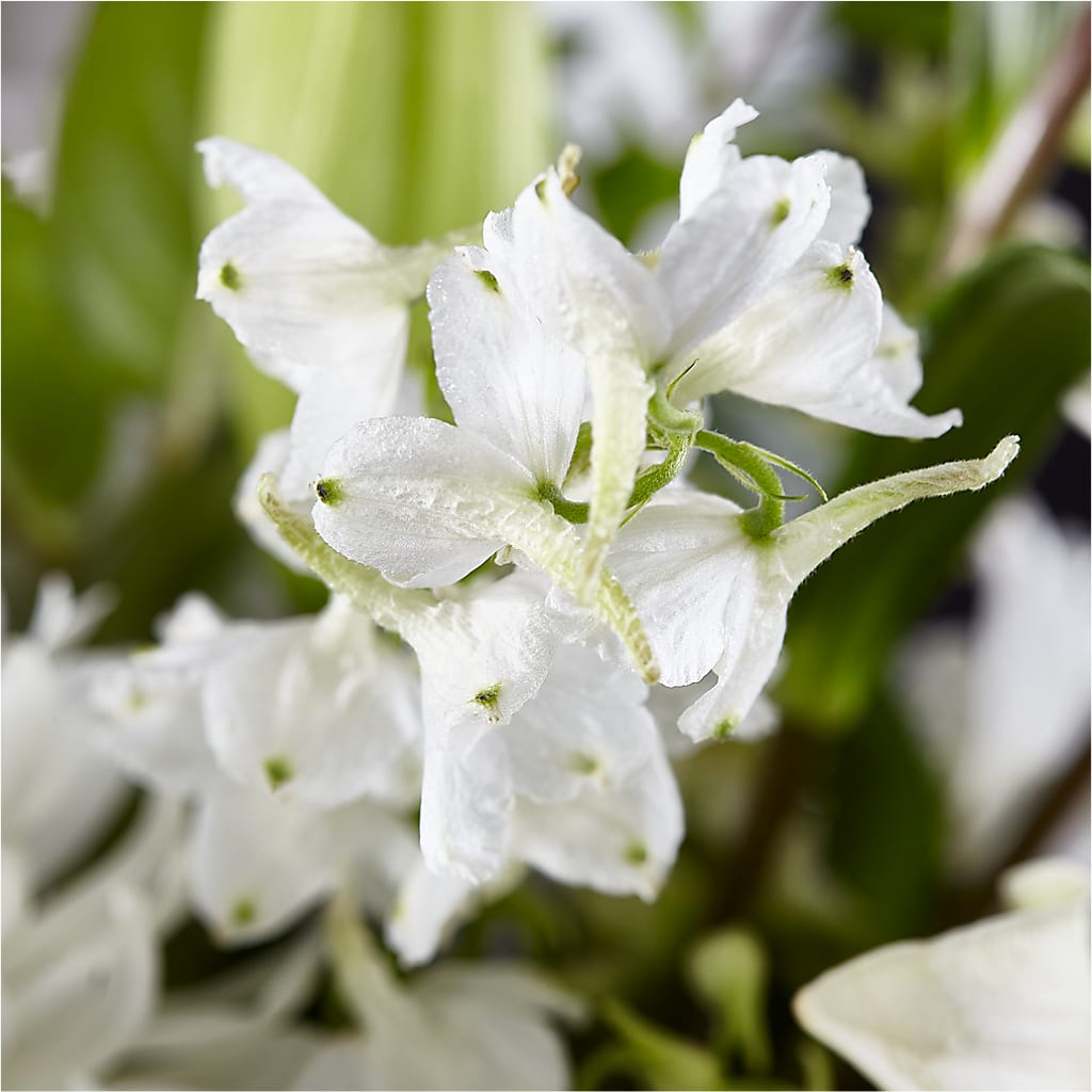 Classic Ivory – A Florist Original –  Village Florist, Richmond KY