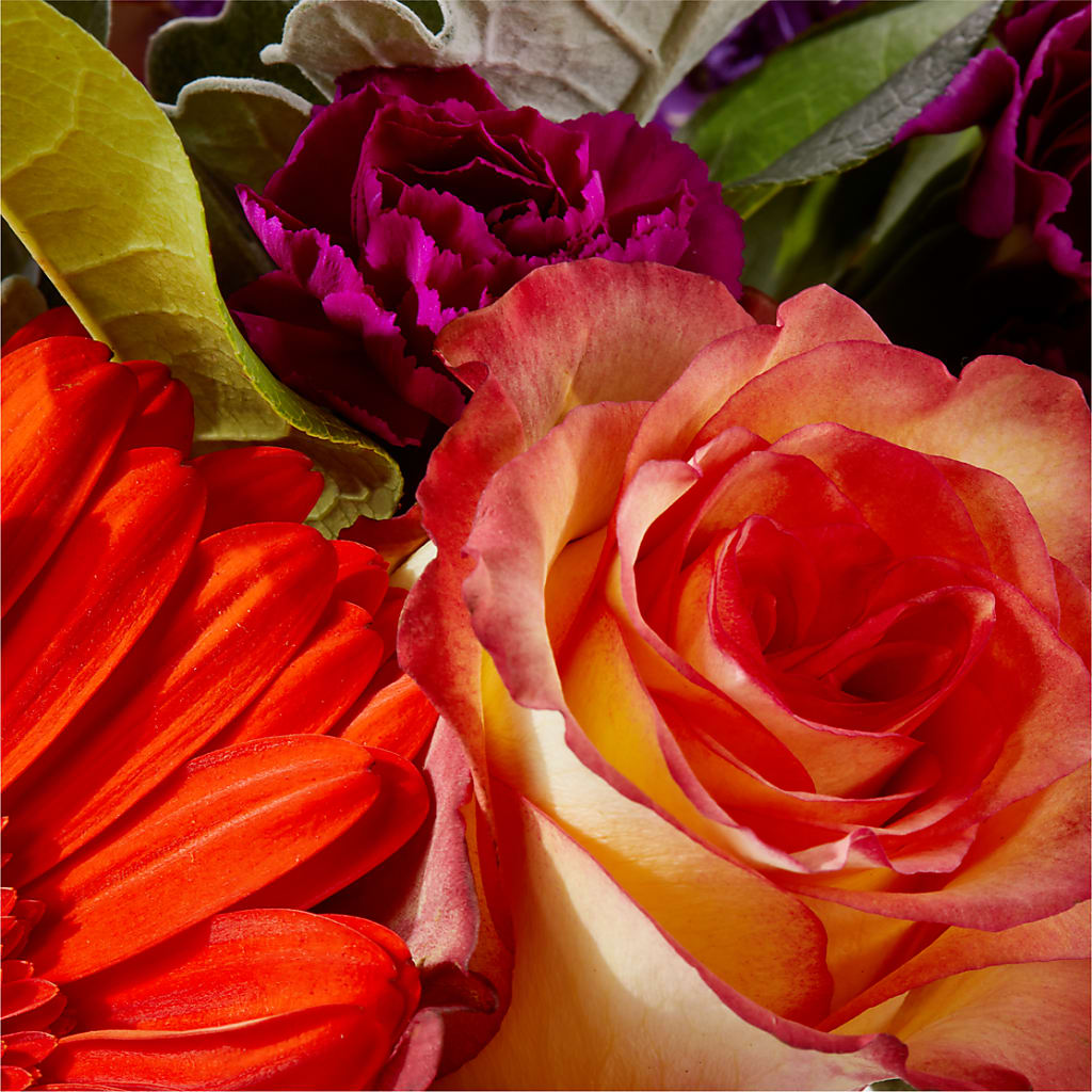 Sangria Bouquet –  Village Florist, Richmond KY