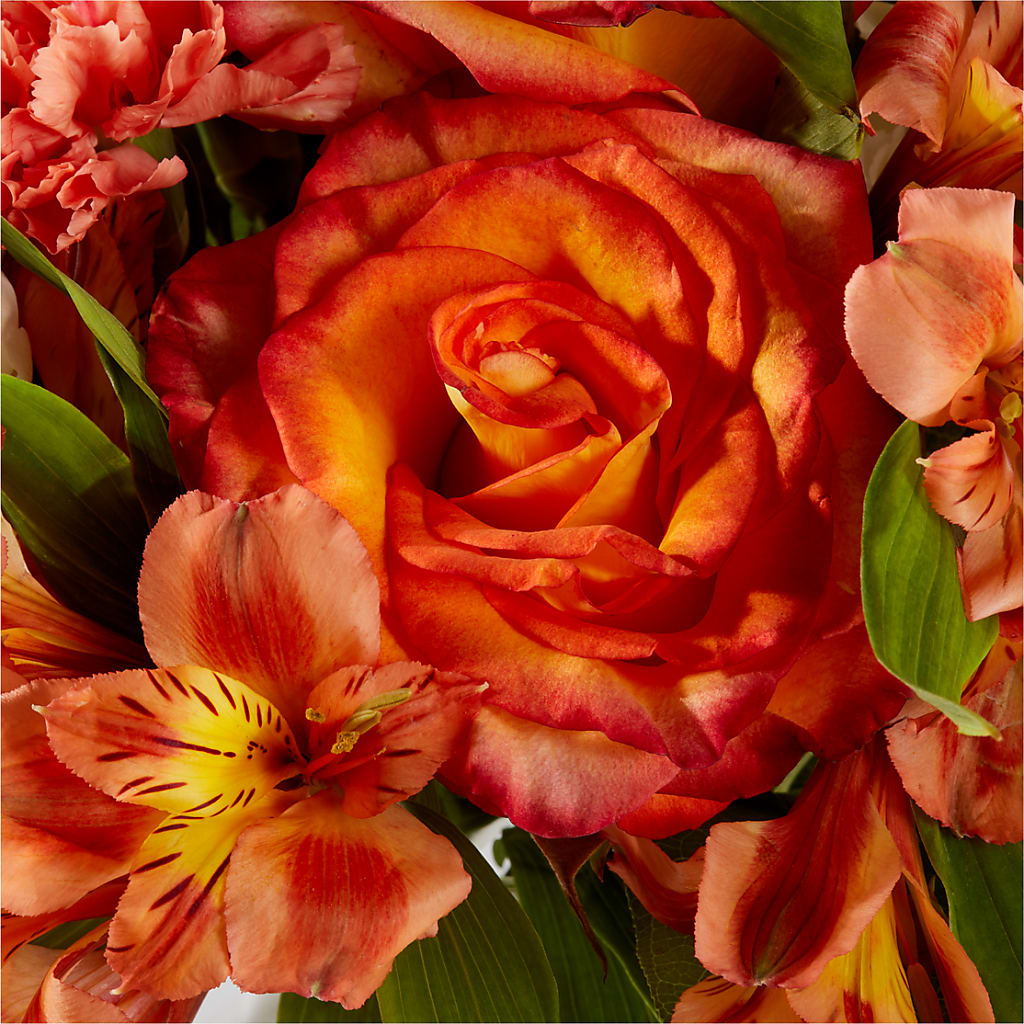 Apricot Glow Bouquet –  Village Florist, Richmond KY