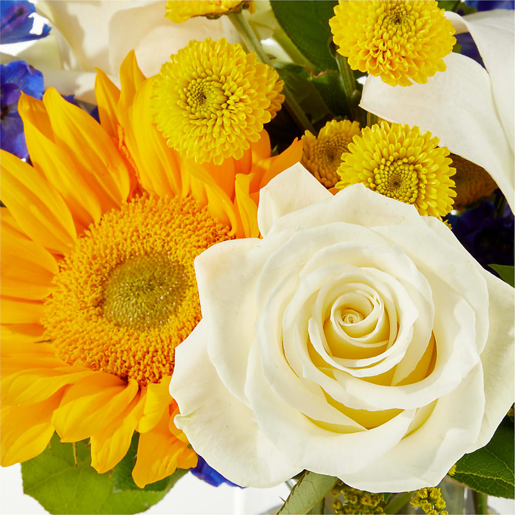 Stargazing Bouquet –  Village Florist, Richmond KY
