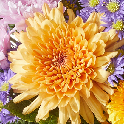 Countryside Bouquet –  Village Florist, Richmond KY
