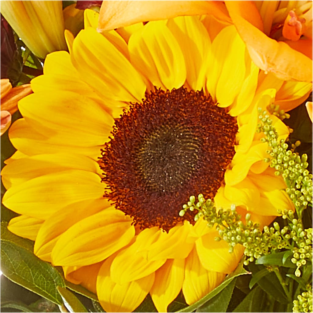 Seasons Change Bouquet –  Village Florist, Richmond KY