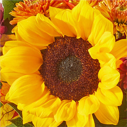 Sunny Side Bouquet –  Village Florist, Richmond KY