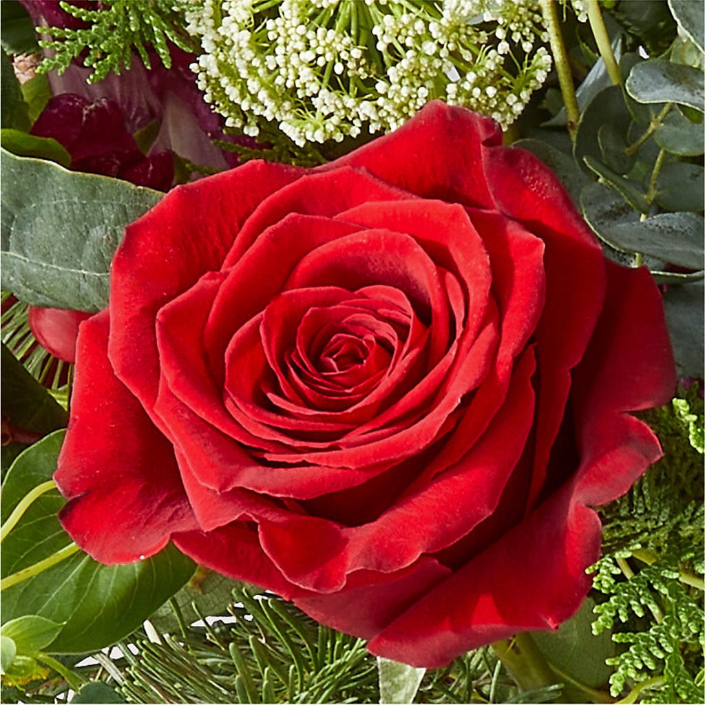 Cranberry Fizz Bouquet –  Village Florist, Richmond KY