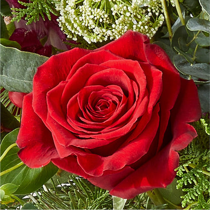 Cranberry Fizz Bouquet –  Village Florist, Richmond KY