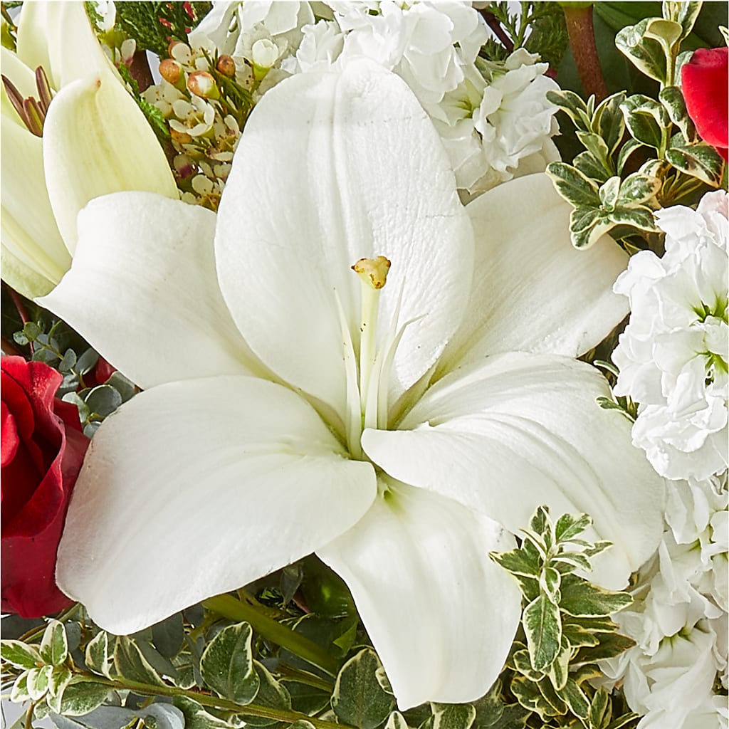 Twinkle Lights Bouquet –  Village Florist, Richmond KY