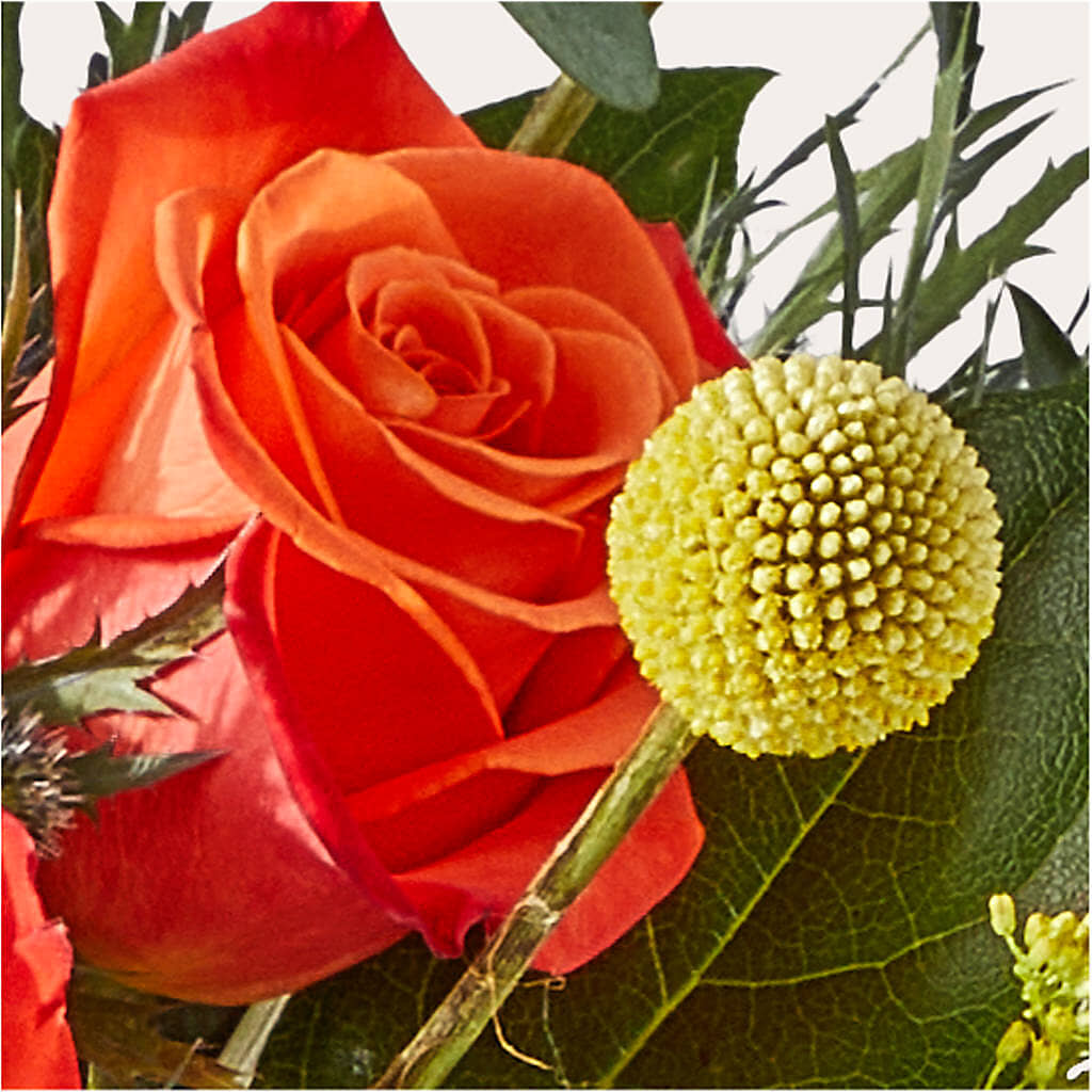 Disco Bouquet –  Village Florist, Richmond KY