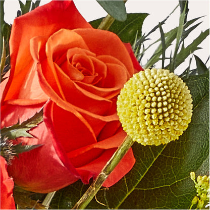 Disco Bouquet –  Village Florist, Richmond KY